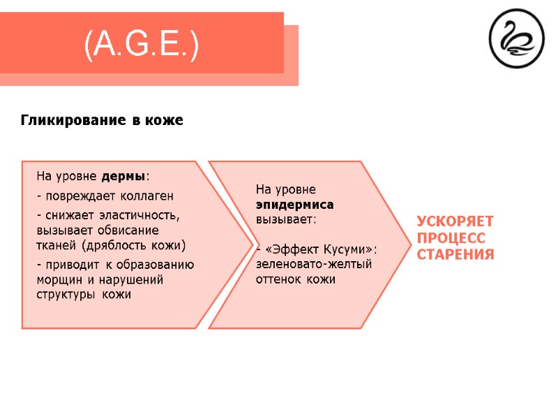 (A.G.E.) На уровне дермы: - повреждает коллаген  снижает эластичность, вызывает обвисание тканей (дряблость